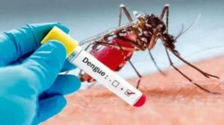 সারা দেশে গত ২৪ ঘণ্টায় ডেঙ্গুতে আক্রান্ত হয়ে আরও ৮ জনের মৃত্যু : চলতি বছর এ পর্যন্ত মোট প্রাণহানি ২০...
